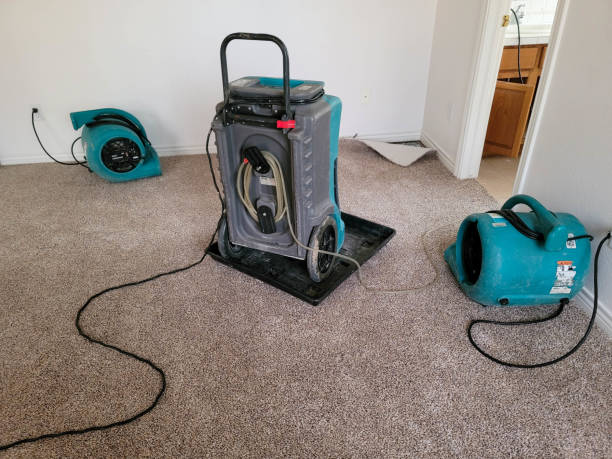 Carpet water damage restoration in Oak Creek, WI