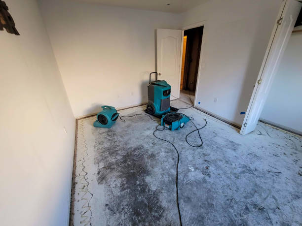 Best Ceiling water damage repair  in Oak Creek, WI