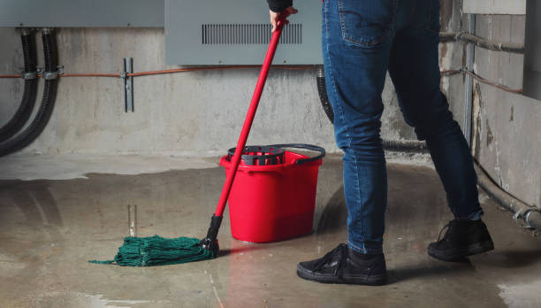 Best Water damage cleanup near me  in Oak Creek, WI
