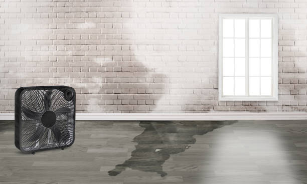 Best Local water damage restoration  in Oak Creek, WI