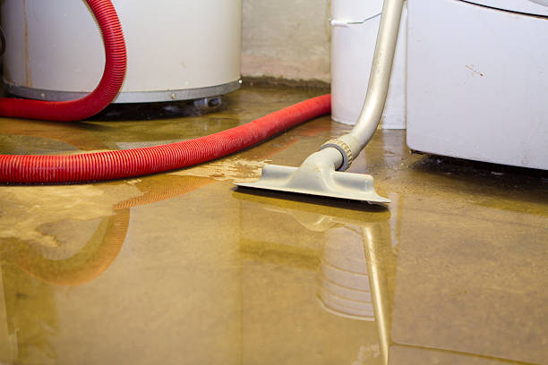 Best Carpet water damage restoration  in Oak Creek, WI