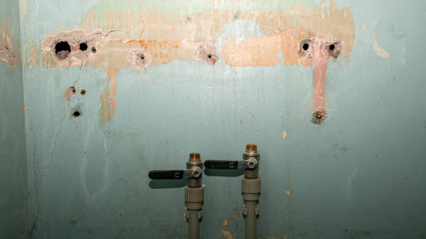 Best Flood damage cleanup  in Oak Creek, WI