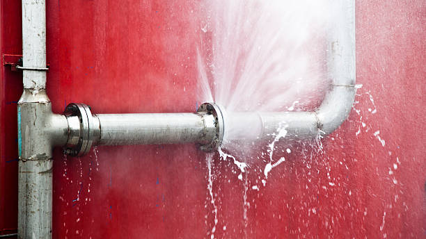 Best Water damage restoration mold remediation  in Oak Creek, WI